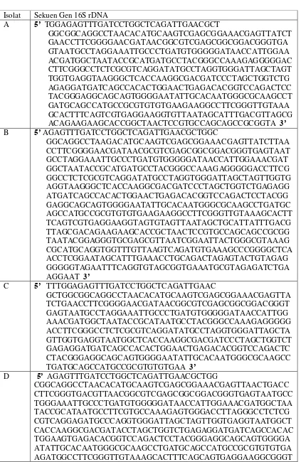 Tabel 2. Sekuens Gen 16S rDNA 