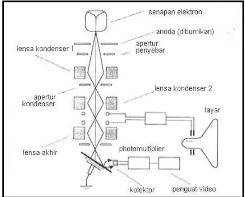 Gambar 2.6. Skematik fungsi dasar dan cara kerja SEM (Trewin, 1988) 