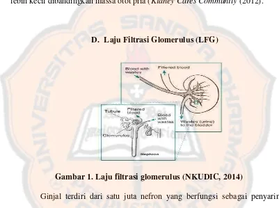 Gambar 1. Laju filtrasi glomerulus (NKUDIC, 2014) 