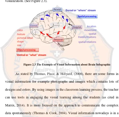 Figure 2.3 The Example of Visual Information about Brain Infographic 