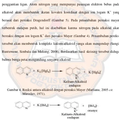 Gambar 4. Reaksi antara alkaloid dengan pereaksi Mayer (Marliana, 2005  cit. 