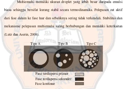 Gambar 4. Jenis-jenis droplet multiemulsi A/M/A (Myers, 2006) 