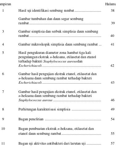 Gambar tumbuhan dan daun segar sembung 