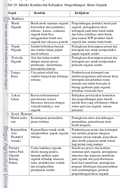Tabel 29. Matriks Kendala dan Kebijakan  Pengembangan  Beras Organik 
