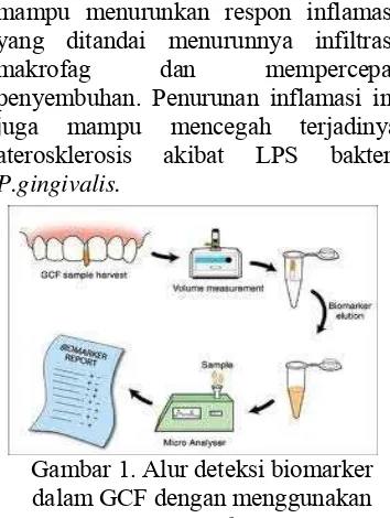 Gambar 1. Alur deteksi biomarker 