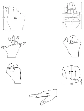 Gambar 1.  Antropometri Tangan  