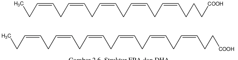 Gambar 2.6. Struktur EPA dan DHA 