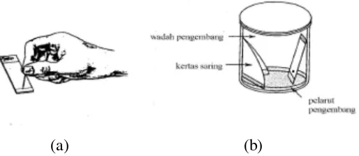 Gambar 3.1 Prosedur analisis KLT, (a) Proses penempatan/ penotolan noda, (b) 