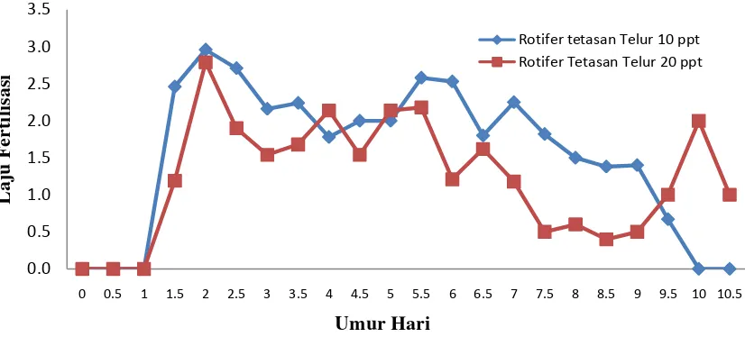 Gambar 2. Rata-rata Harapan Hidup Rotifer B. rotundiformis Strain Tumpaan 