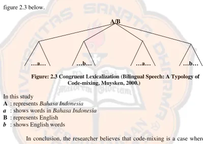 figure 2.3 below.  