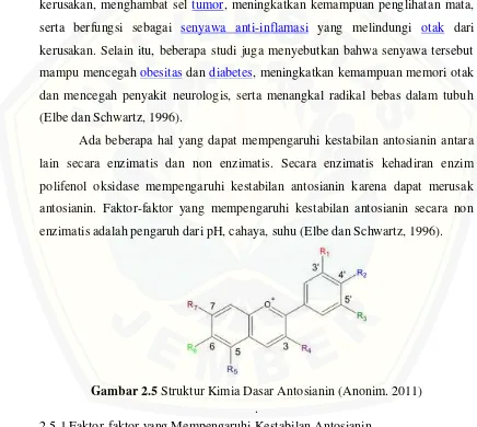 Gambar 2.5 Struktur Kimia Dasar Antosianin (Anonim. 2011) 