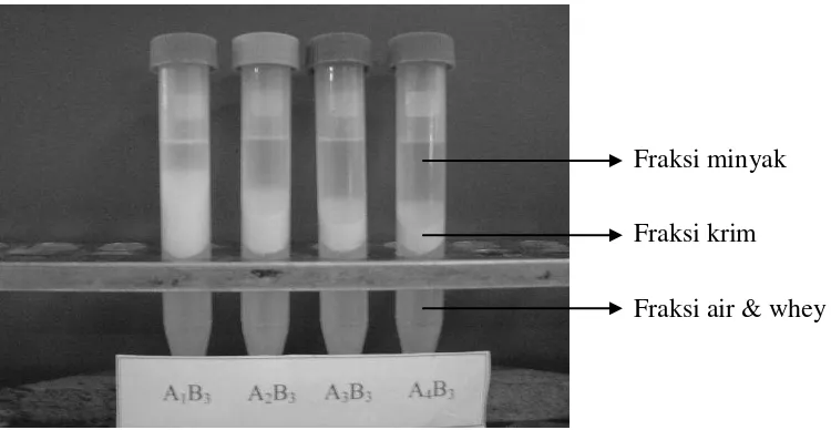Gambar 2. Fraksinasi hasil inkubasi santan kelapa dengan protease biduri pada konsentrasi 0% (A1), 0,05% (A2), 0,10% (A3), 0,15% (A4) dengan lama inkubasi 4 jam (B3)