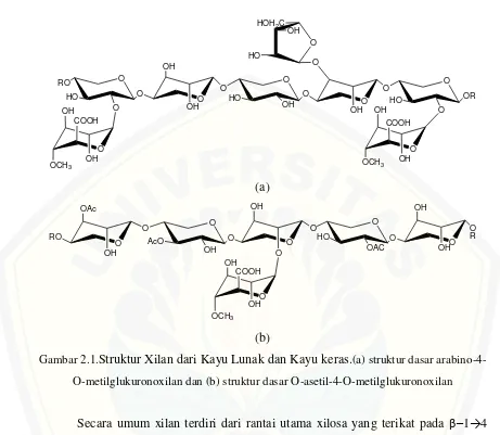 Gambar 2.1.Struktur Xilan dari Kayu Lunak dan Kayu keras.(a) struktur dasar arabino-4-