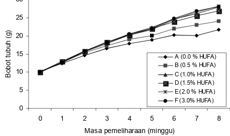 Gambar 1. Pengaruh kandungan asam lemak ω-3 HUFA terhadap bobot tubuh juvenil kerapu bebek (C