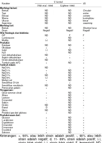 Tabel 8. Karakter Vibrio sp.3S dan V. furnisii 