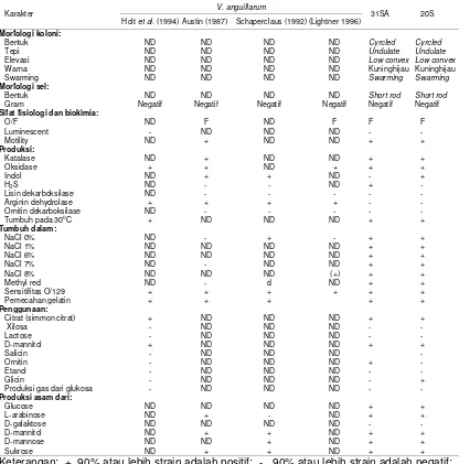 Tabel 4. Karakter Vibrio spp. 20S, 31SA, dan V. anguillarum 