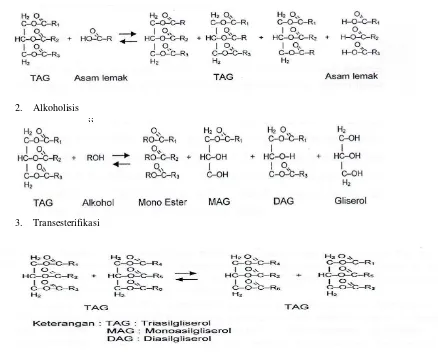 Gambar 2. Prinsip reaksi interesterifikasi (Huyghebaert et al. 1994) 