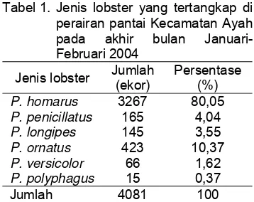 Tabel 1.  Jenis lobster yang tertangkap di 