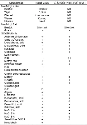 Tabel 1. Karakter isolat bakteri 24SK 