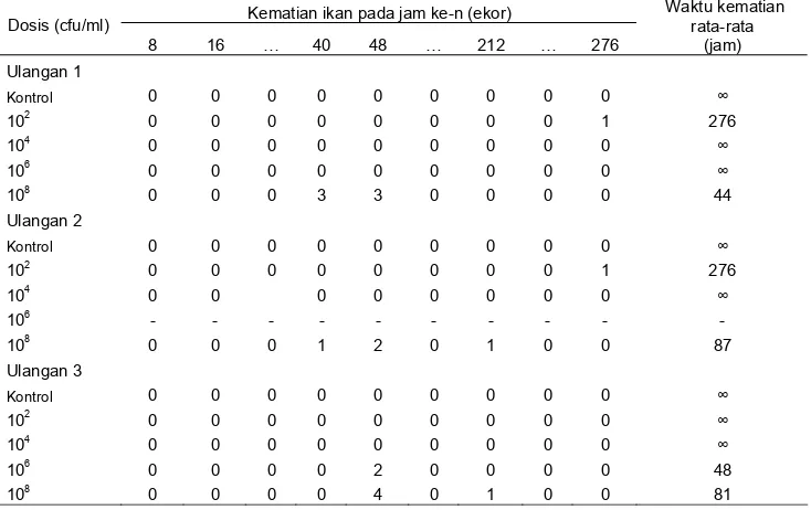 Tabel 2. Kematian rata-rata kerapu tikus yang diinfeksi V. fluvialis 24SK 