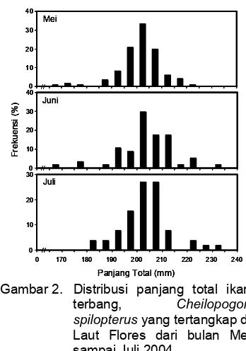 Tabel 1. Distribusi ukuran panjang total (mm) ikan terbang C. spilopterus yang dikumpulkan dari bulan Mei sampai Juli 2004 di Laut Flores 