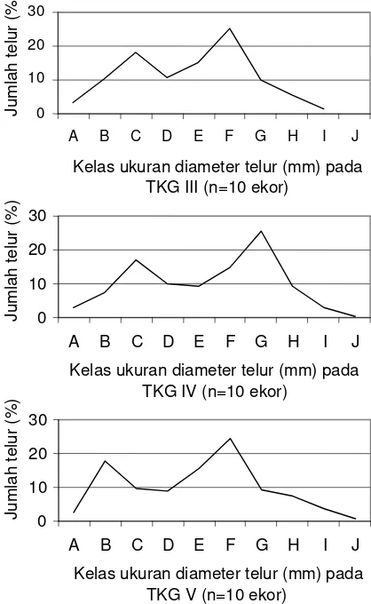 Gambar 4. Grafik sebaran diameter telur ikan gabus pada TKG III, IV dan V. A (0,65-0,71 mm); B (0,72-0,78 mm); C (0,79-0,85 mm); D (0,86-0,92 mm); E (0,93-0,99 mm); F (1,00-1,06 mm); G (1,07-1,13 mm); H (1,14-1,20 mm); I (1,21-1,27 mm); J (1,28-1,34 mm)