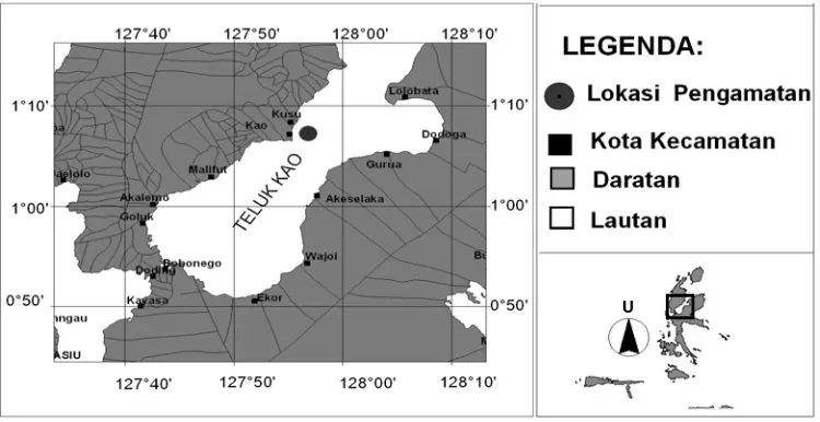 Gambar 1.  Lokasi penelitian di Teluk Kao, Kabupaten Halmahera Utara yang dilakukan dari bulan November 2004 sampai Februari 2005  
