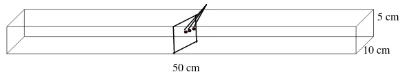 Gambar 2  Contoh uji dengan jarak lubang 1, 3, dan 5 cm. 