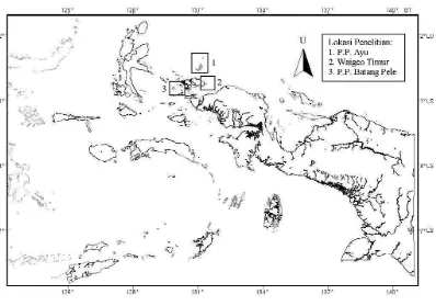 Gambar 1.Gugus Kepulauan Rajaampat, Kabupaten Sorong, dan lokasi penelitianditunjukkan oleh gambar bujur sangkar.