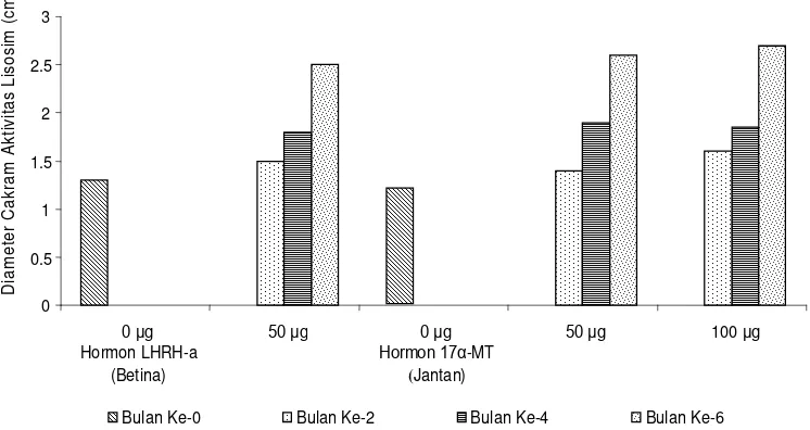 Gambar 2. Pengaruh hormon LHRH-a pada induk ikan kerapu lumpur betina dan hormon                   17-MT pada induk jantan terhadap keragaan indeks fagositik (PI).