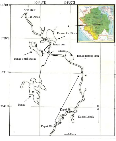 Gambar 1. Peta arah ruaya ikan bertanda di Sungai Lempuing, Sumatera Selatan. A merupakan lokasi pelepasan ikan baung, sedangkan B untuk ikan tembakang dan palau