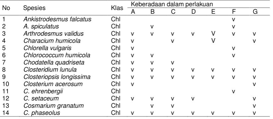 Tabel 2. Keberadaan jenis plankton dalam air tiap tempat 