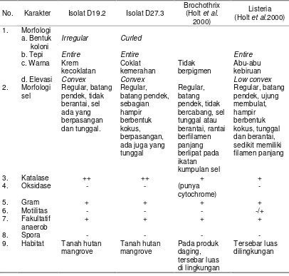 Tabel 2. Karakteristik isolat  D19.2 dan D27.3 hasil isolasi pada penelitian ini 
