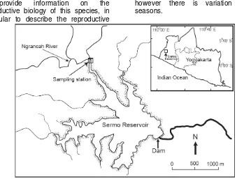 Fig. 1. A map showing sampling station located in Ngrancah River. 