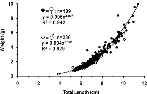 Fig. 4. Length weight relationship of spawning fish collected in spawning site. Closed and  open circles indicate males and females, respectively