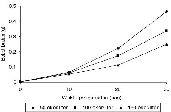 Gambar 2. Bobot badan rata-rata (gram) larva ikan Patin Siam selama penelitian. 
