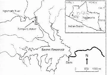 Fig. 1.  A map showing sampling station located in Ngrancah River