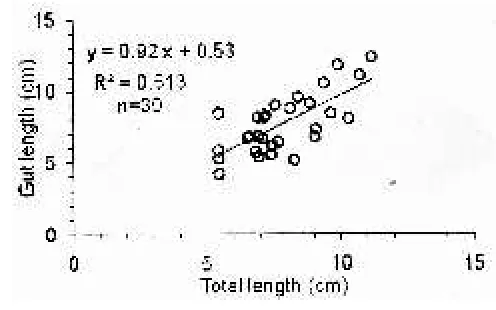 Fig.5  The type of food found in the diet of yellow rasbora brood 
