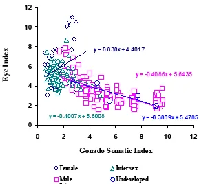 Fig. 4.  Relationship between Gonado Somatic Index (GSI) and Eye Index (EI) of the  four different groups of sexual development of the Anguilla bicolor bicolor from the Waters of Segara Anakan (West Jawa)