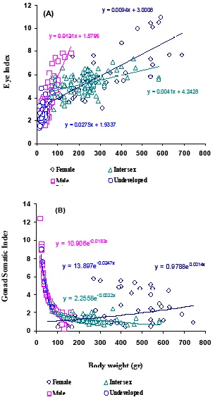 Fig. 5.  Relationship between (A) Body Weight and Eye Index, and (B) Body Weight  and Gonado Somatic Index of the Anguilla bicolor bicolor from the Waters of Segara Anakan (West Jawa), in each different groups of sexual development