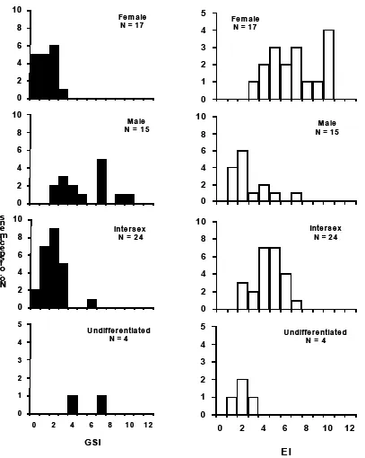 Fig. 3.  Frequency distribution of the Gonad Somatic Index (GSI) and the Eye Index (EI) of four groups of sexual development of the Anguilla bicolor bicolor from the Waters of Segara Anakan (West Jawa)