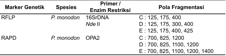 Tabel 3. Pola fragmen restriksi DNA mitokondria berdasarkan analisa dengan marker RFLP serta pola fragmentasi DNA udang windu dengan marker RAPD pada induk udang windu F1.