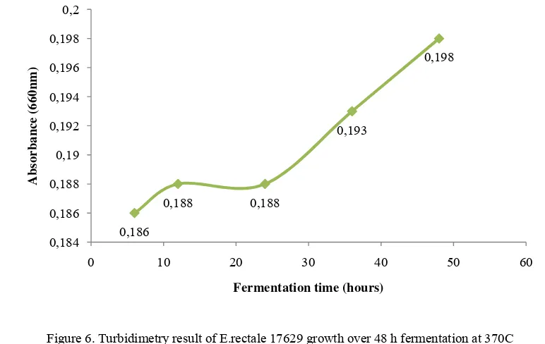 Figure 6. Turbidimetry result of E.rectale 17629 growth over 48 h fermentation at 370C 