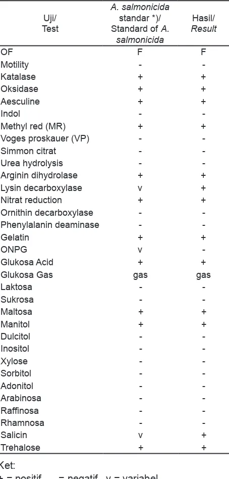 Tabel 1.  Karakteristik dan uji biokimia A. salmonicida.