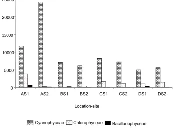 Figure 4.  The average of cell number in three dominant class at location and both site.Figure 4 Hal 166