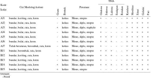 Tabel 4.1. Karakterisasi isolat bakteri endofit yang diperoleh dari tanaman keji beling 