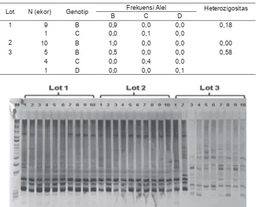 Tabel 3. Genotip frekuensi alel dan heterozigositas pada fragmen polimorik kerapu bebek Cromileptes altivelis F-2.