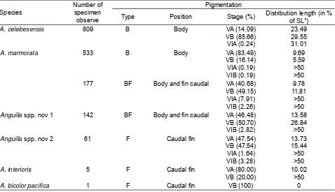 Table 3. Character pigmentation of the tropical anguillid glass eels collected in the Poso Estuary