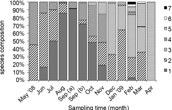 Figure 2. Species  composition of the tropical anguillid glass eels recruited in the Poso Estuary, from May 2008 to April 2009