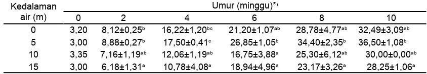 Tabel 1.  Rata-rata panjang cangkang (mm) P. maxima yang dipelihara pada kedalaman yang berbeda selama 10 minggu.